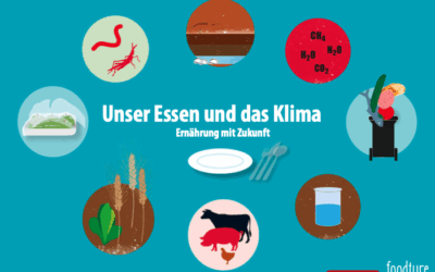 Jahresabschluss 2019