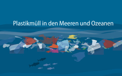 Der runde Tisch – Meeresmüll als Planspiel für Schüler:innen