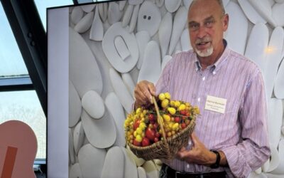 Acker e.V. übernimmt Patenschaft für Tomatensamen der Tomatenparade